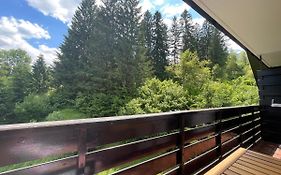 Home Near Bohinj Lake